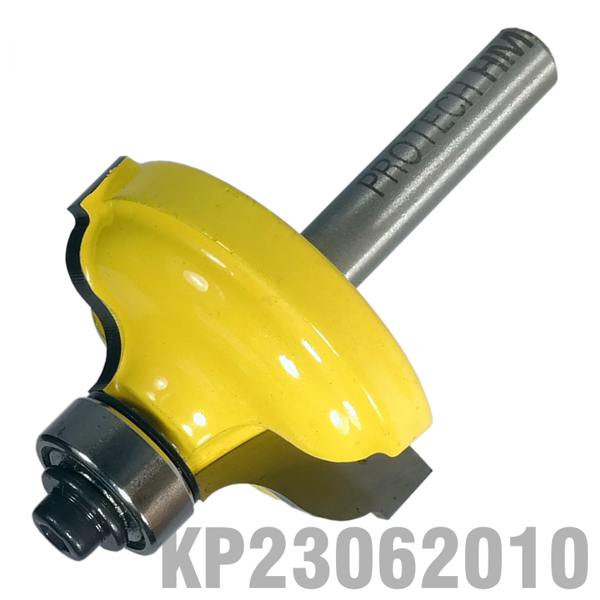 KP23062010